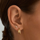 Double Tube Hoops