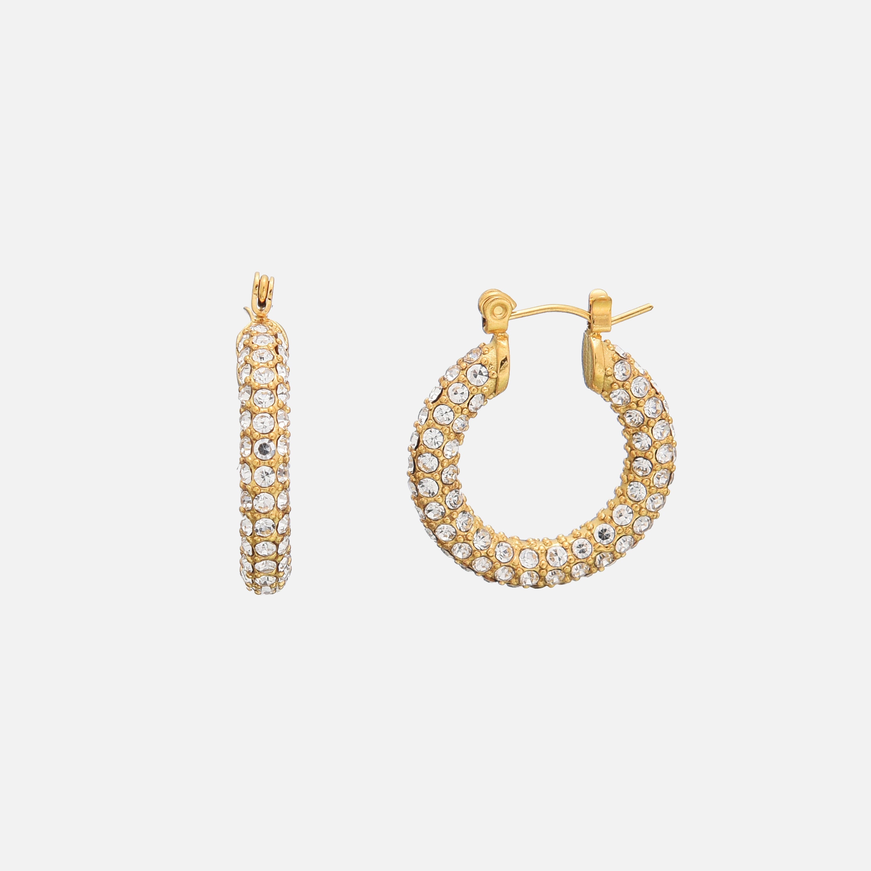 Gleam Earrings