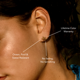 Starfish Earrings