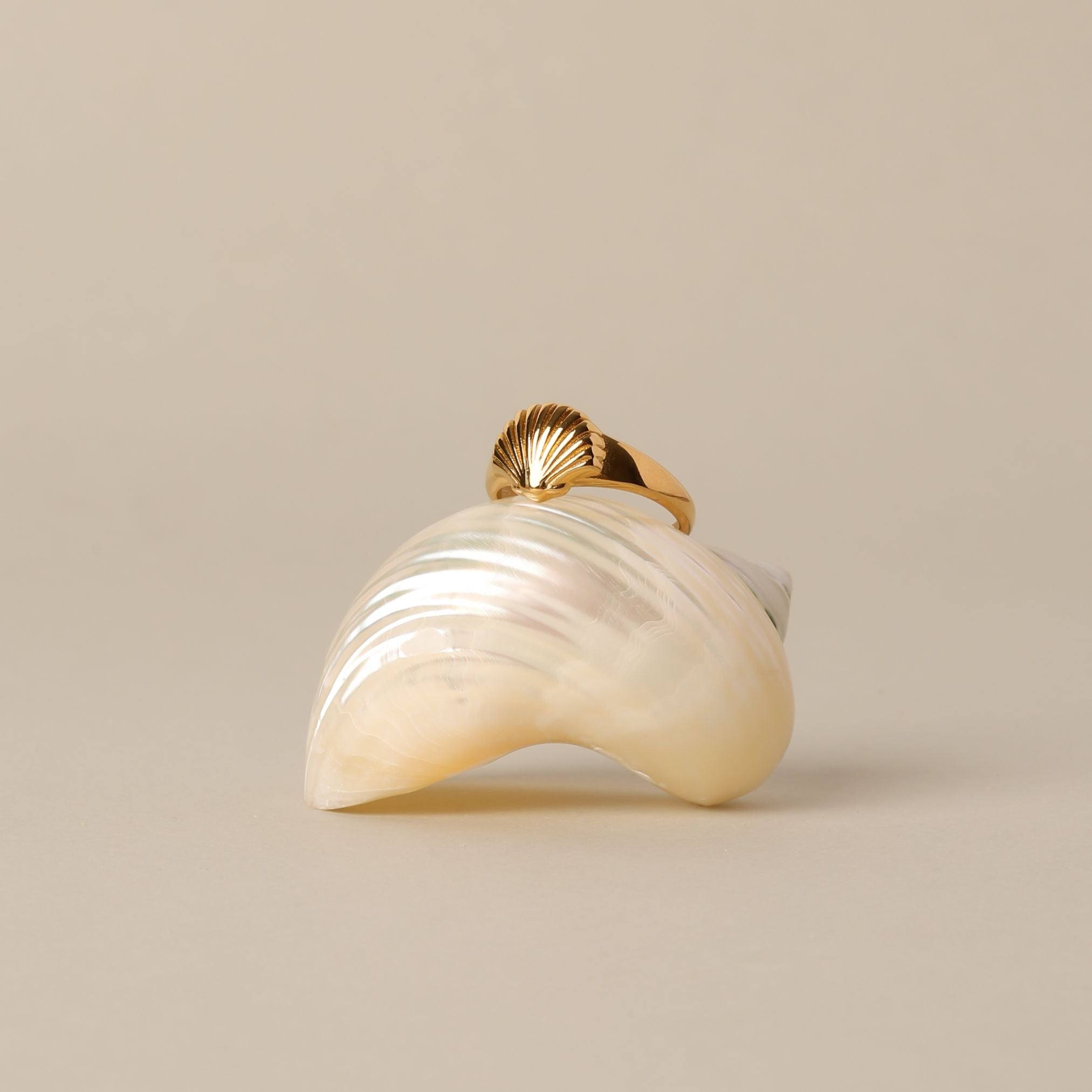 Seashell Ring