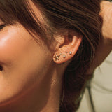 Starfish Earrings
