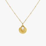Seashell Necklace