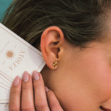 Starfish Earrings